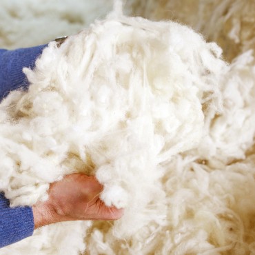 WASHED WOOL IN BULK